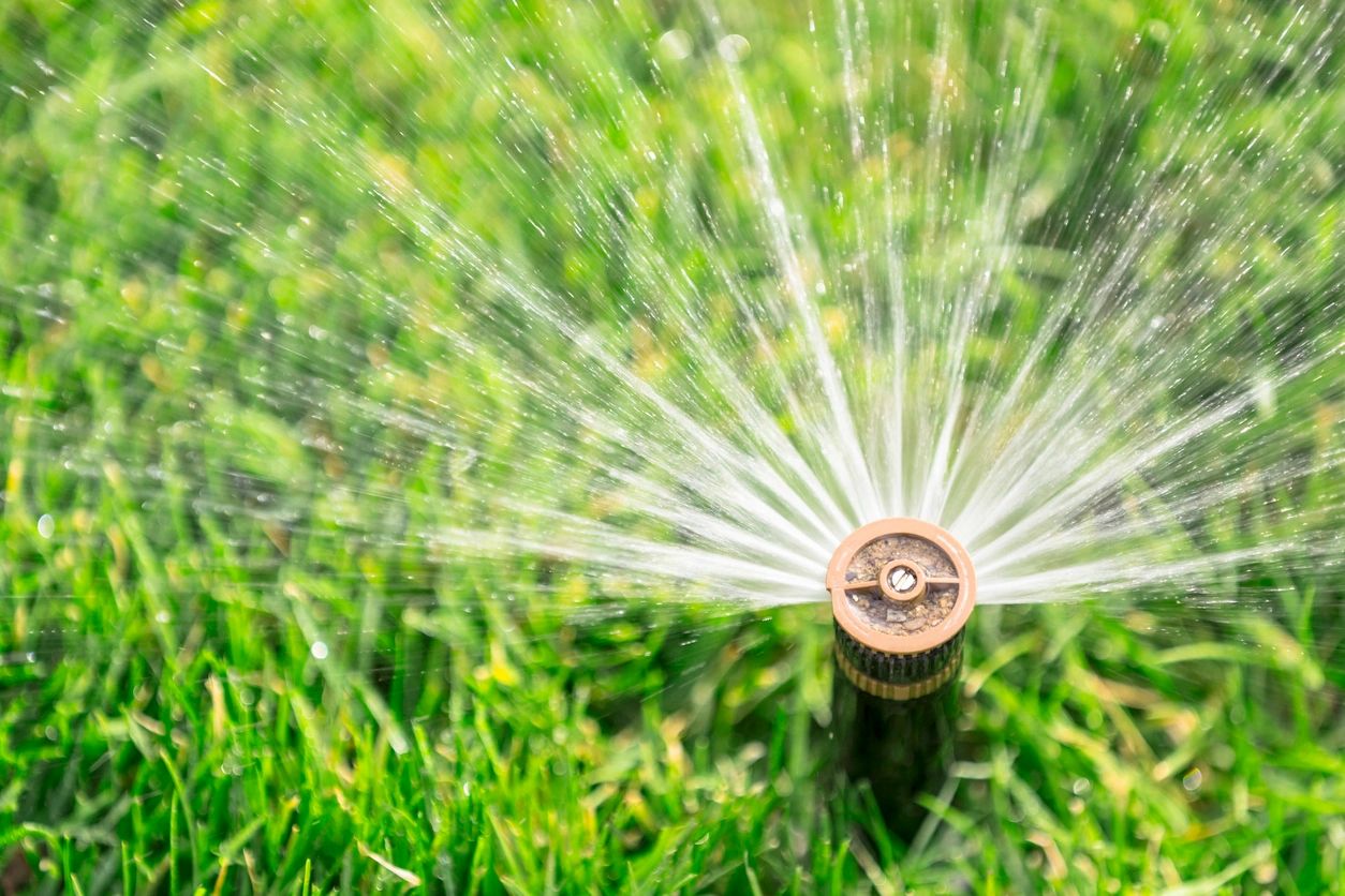 Edmonton Irrigation