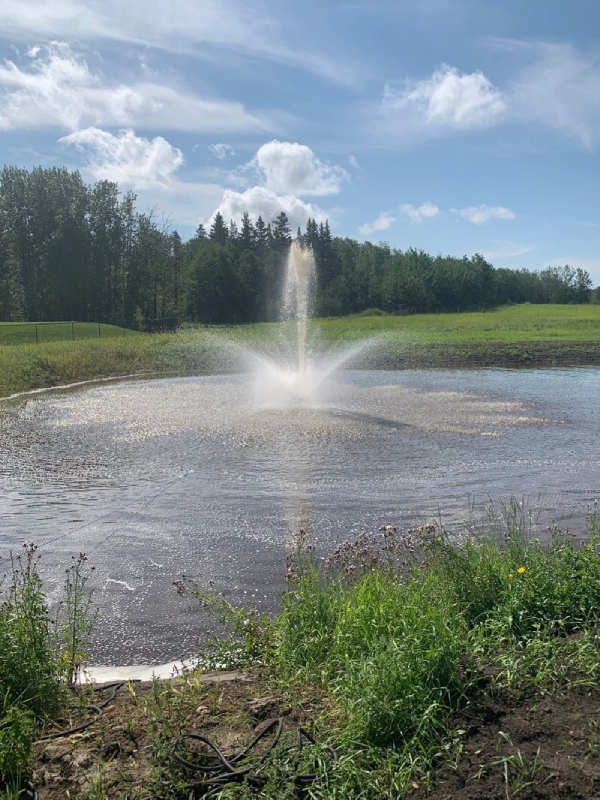 Edmonton Irrigation